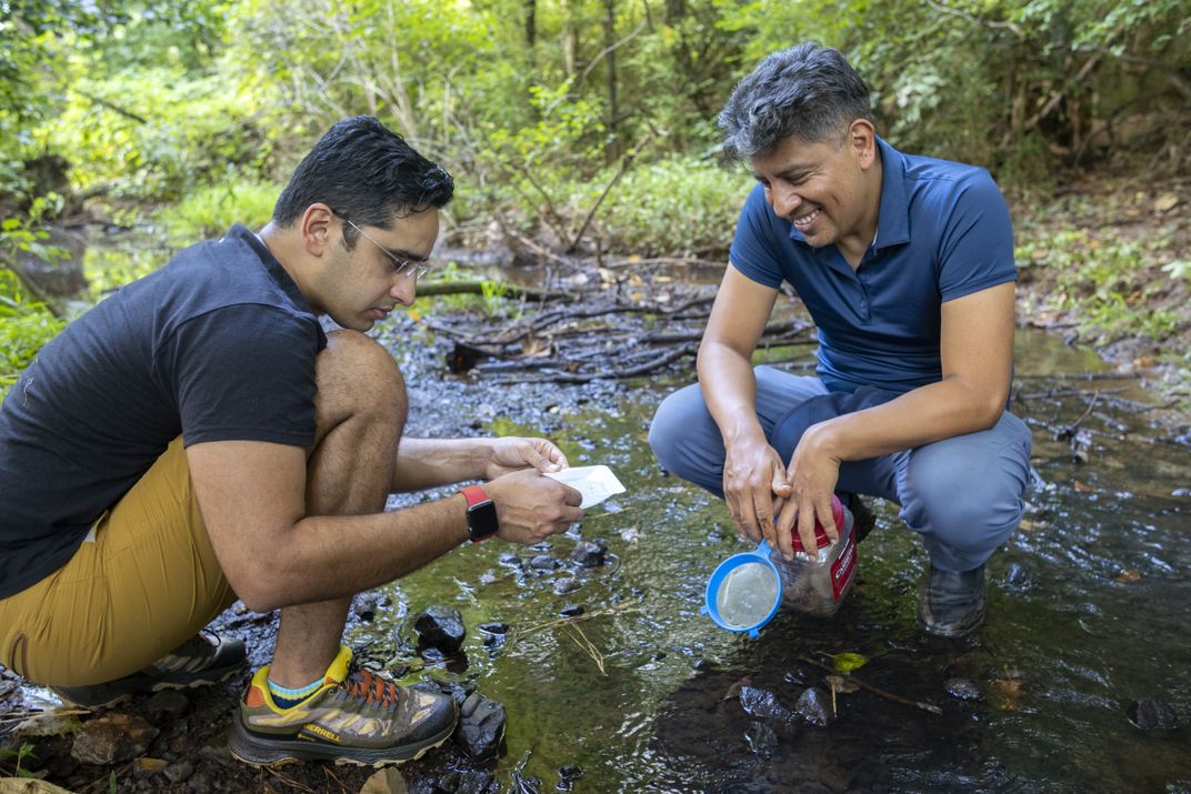 Victor Ortega-Jiménez and Saad Bhamla looking for springtails