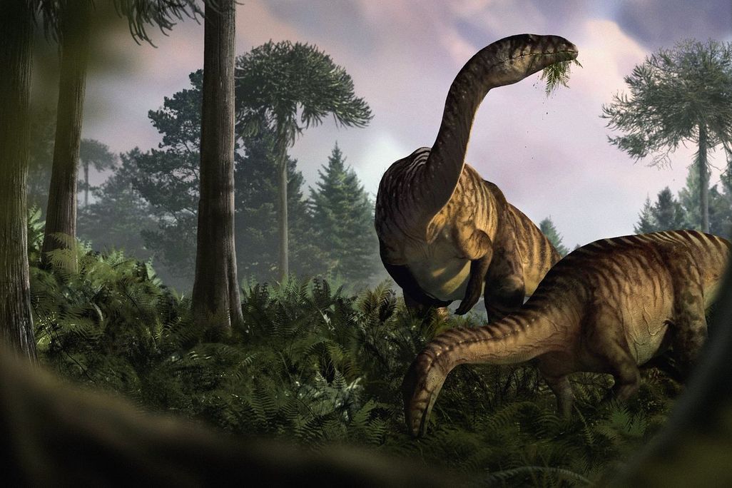 Dinosaur illustration