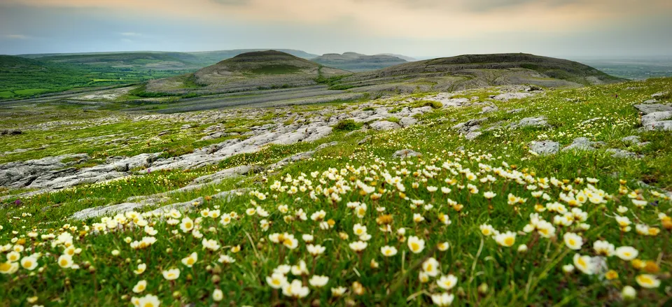 Landscape of the Burren  