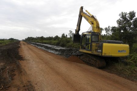 Seen in 2012, an excavator works on a road near an Indonesian oil palm plantation built on disputed lands once home to a rainforest.