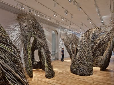 Shindig by Patrick Dougherty is on view at the newly renovated Renwick Gallery.