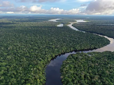 Cruising the Amazon Waterways description