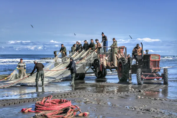 The net of life thumbnail