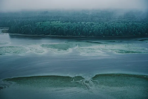 Echoes of the woods thumbnail