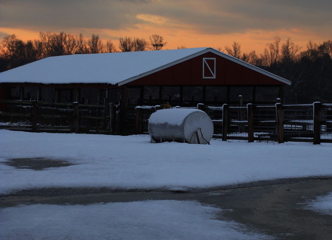 The barn in Waverly Hall at sunset | Smithsonian Photo Contest ...