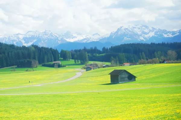 Nature at its best thumbnail