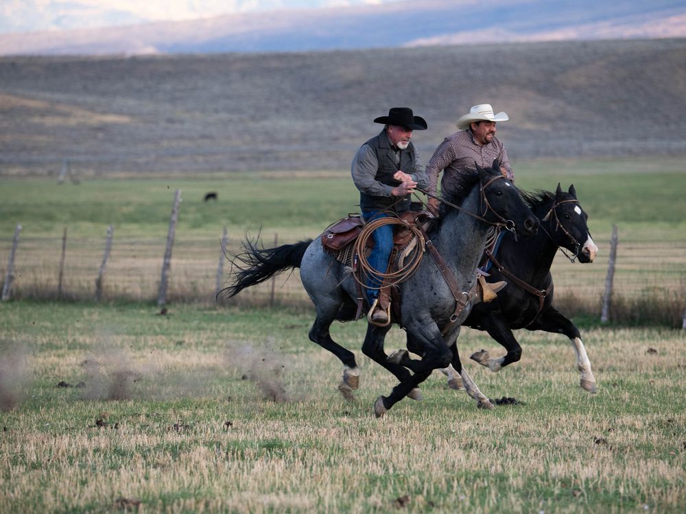 Ranch Race | Smithsonian Photo Contest | Smithsonian Magazine