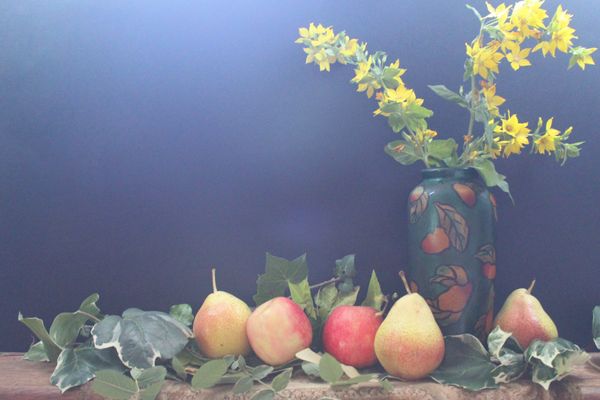 Apples and pears with yellow flowers thumbnail