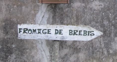 Follow the arrows, find the cheese. This sign led to a sheep farm in the village of Tilhouse.