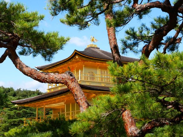 Goldene Pavillion Kinkakuji thumbnail