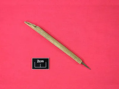 A medieval composite pen made out of animal bone and a copper alloy was found in an 11th-century settlement in Ireland. The tool&#39;s secular setting is a rare find, as literacy in Ireland was generally associated with the church.