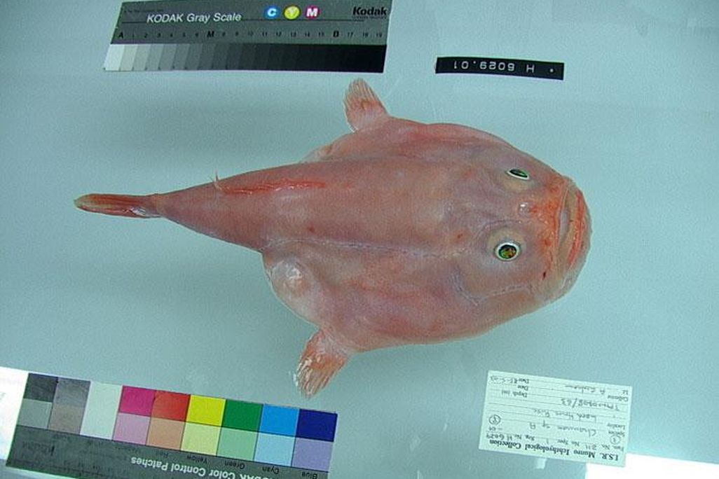 7366850_6c20aee098_o.jpg