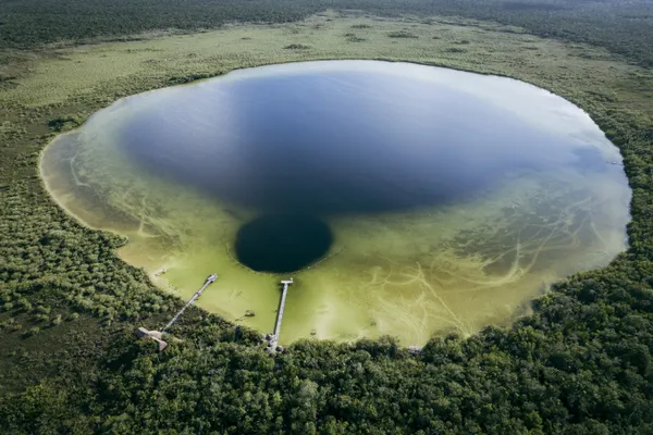 The Portal Beneath thumbnail