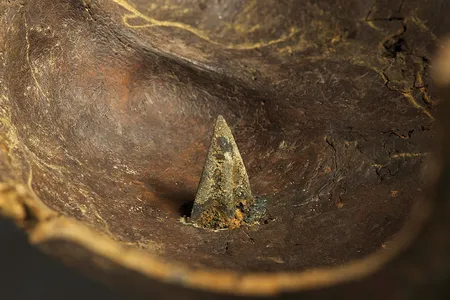 Some human bones, including this skull, found at the Tollense Valley battlefield were pierced with arrowheads.