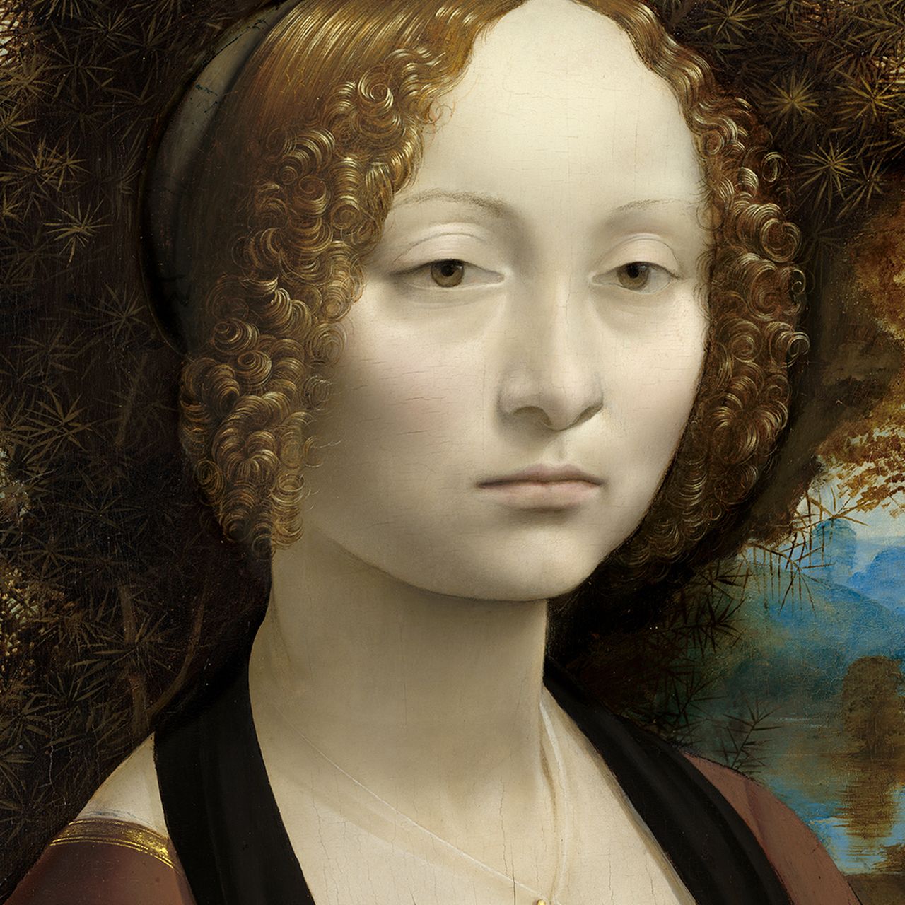 美術書 ダヴィンチLeonardo & Venezia Bompiani 美術書 ダヴィンチLeonardo & Venezia Bompiani - メルカリ