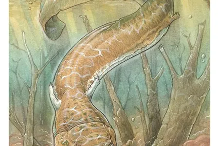 An artist&rsquo;s rendering of the creature called Gaiasia jennyae

