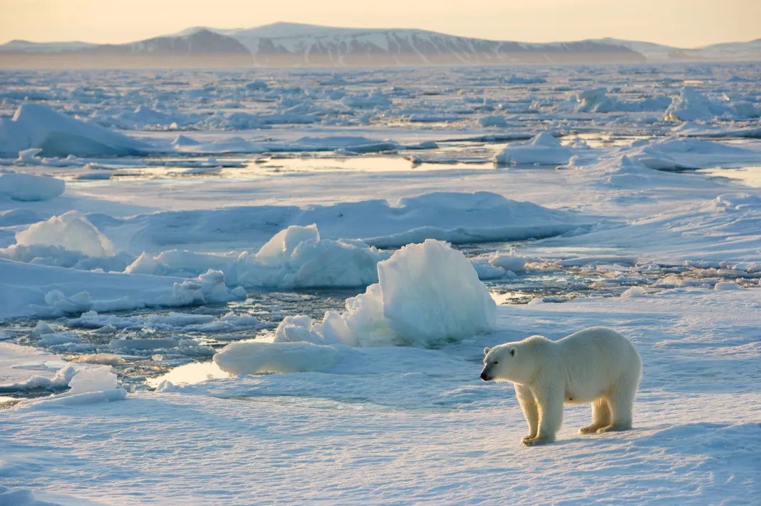 The Top 9 Baffling, Humbling, Mind-Blowing Science Stories of 2016