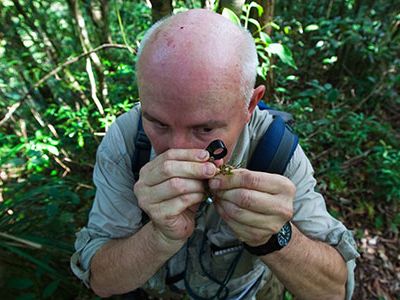 California Academy of Sciences botanist and moss expert Jim Shevoc inspects a collected specimen on Mt. Isarog.