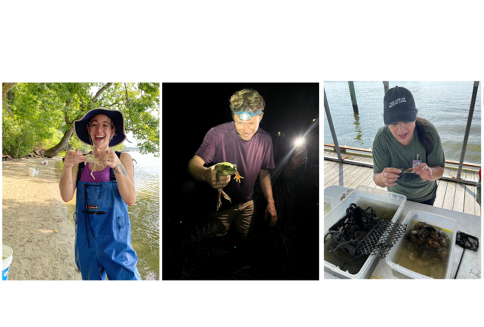 Educators from Across the Country Convene on the Chesapeake Bay with a  Network of Fellow 'Earth Optimists', Smithsonian Voices