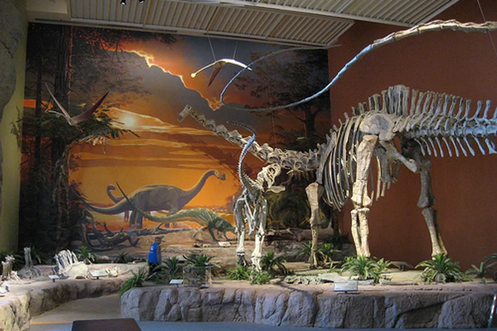 20110520083235Seismosaurus-Saurophaganax-New-Mexico.jpg