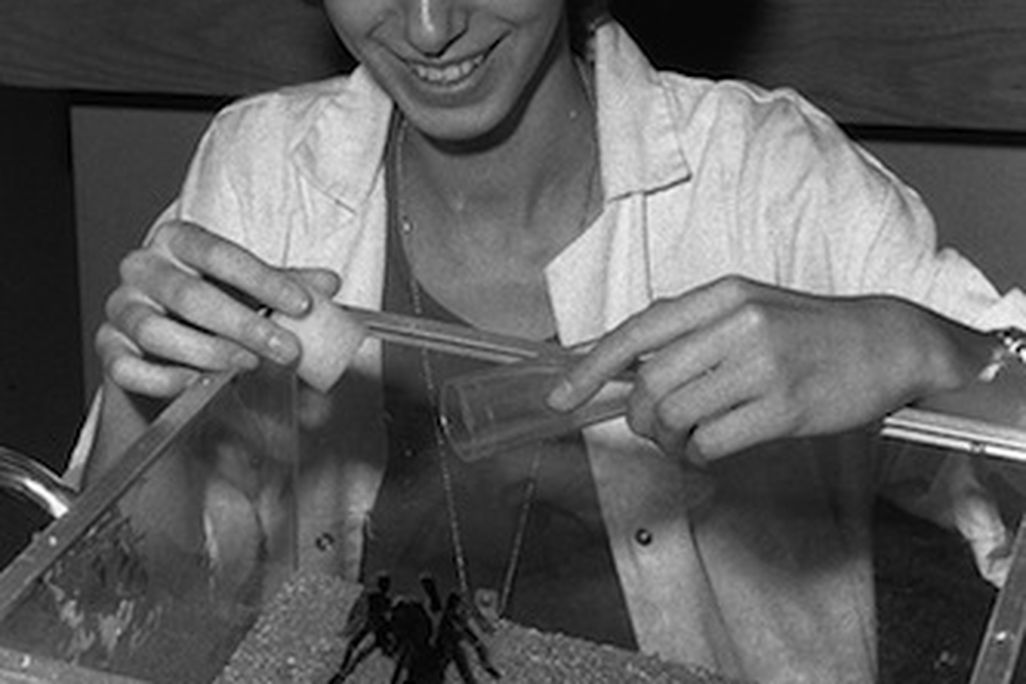 20110520110720hofmeister_SmithsonianInstitutionArchives.jpg