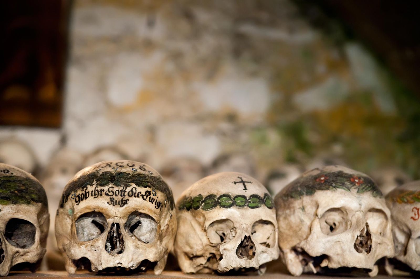 Inside Skull and Bones, Last Look