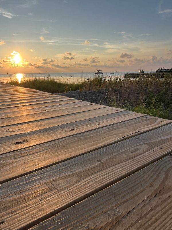 Campground Cove thumbnail