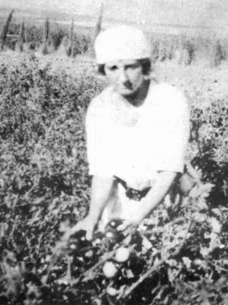 Meir working on a kibbutz in Palestine