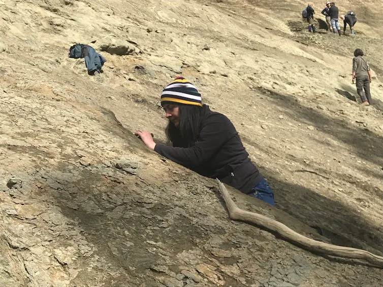 Paleontologist woman digging into light-colored earth