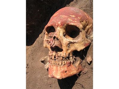 This Bronze Age skull is from the Yamnaya culture, which later developed into the Afanasievo culture of Central Asia, one of the peoples that carried early strains of plague.