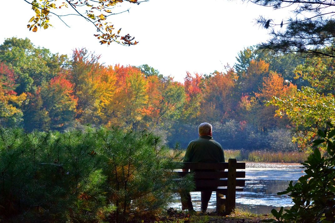 8 - A man enjoys a moment of zen lakeside among the colorful fall foliage.