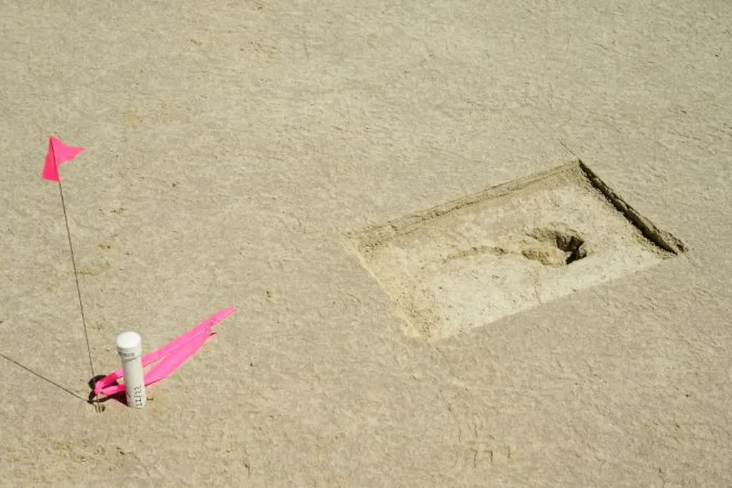Human footprint with a flag nearby