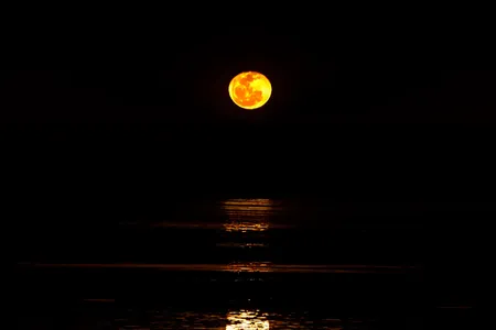 When the conditions are right in Roebuck Bay, Australia, the landscape resembles a set of stairs leading to the moon.