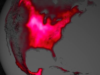 The Midwest aglow with a visualization of photosynthetic fluorescence.