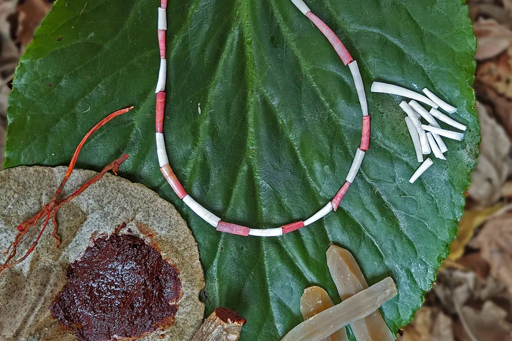 Necklace Made From Organic Red Paint