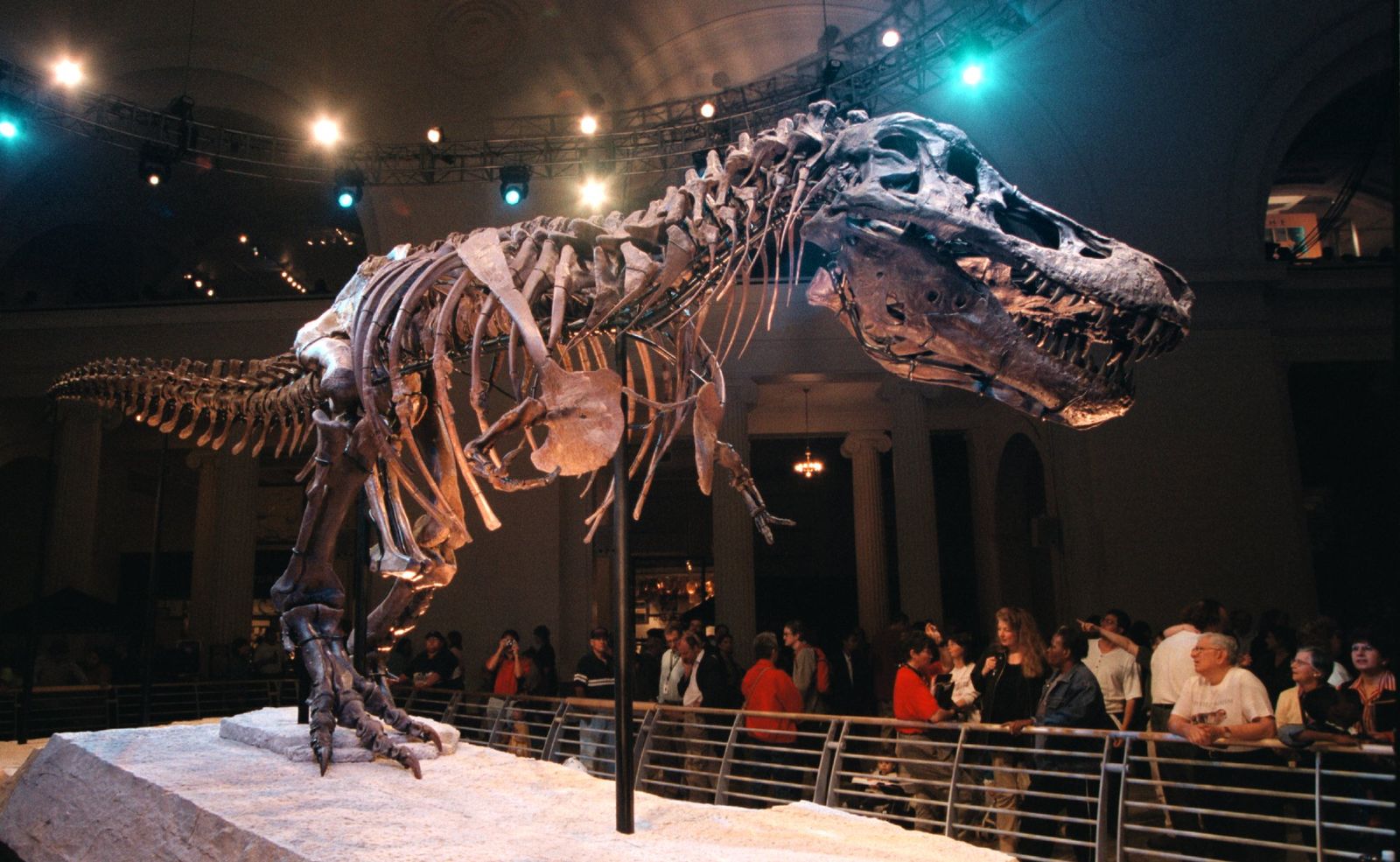Like an 'Eight-Ton Chicken,' Tyrannosaurus Rex May Have Run on Its ...