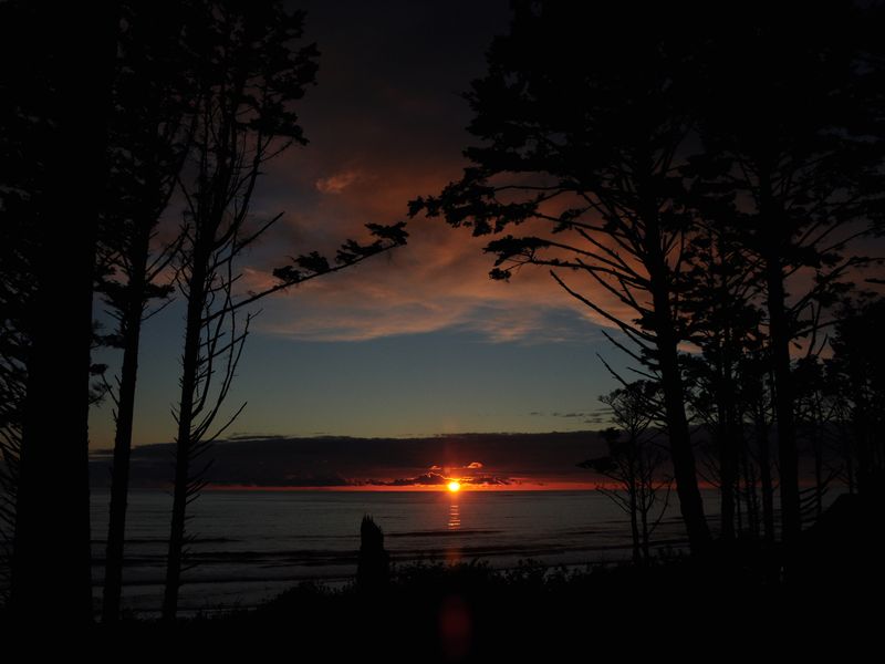 Essay contest beach house in oregon 08 image