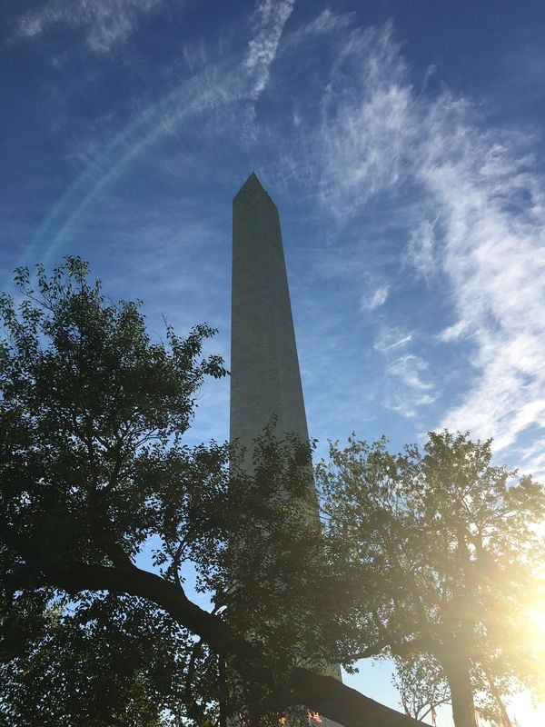 The Washington Monument on Veteran's Day thumbnail