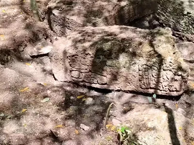 Deep in the Mexican Jungle, Archaeologists Discovered a Lost Maya City That May Yield Clues About the Civilization Just Before It Collapsed image