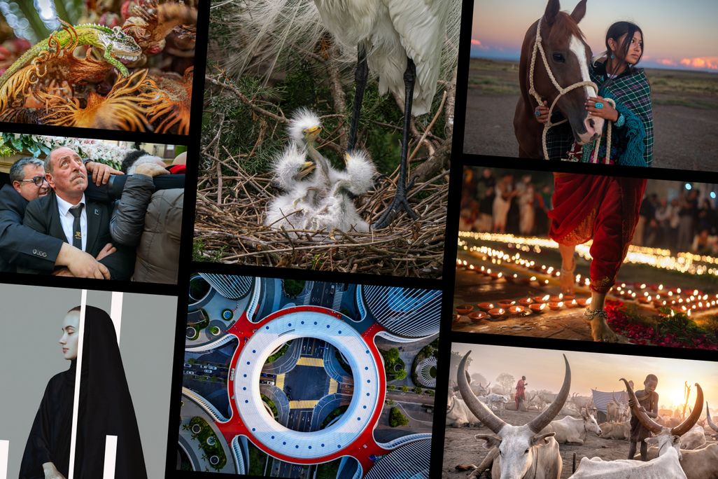 Collage of photo contest winners