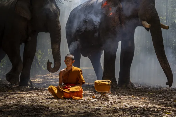 Zen and Elephant thumbnail