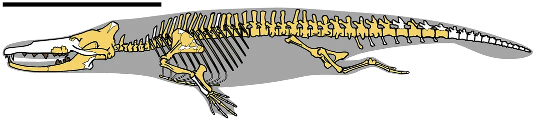Before Whales Took to the Sea, These Ten Species Walked on Land
