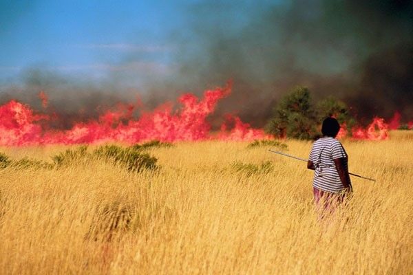 Landscapes have been managed by humans for thousands of years – some sustainably, others less so. The Martu people of Australia burn the grasses in continent’s Western Desert. The practice yields food, but also increases biodiversity in the area. (Rebecca Bliege Bird) 