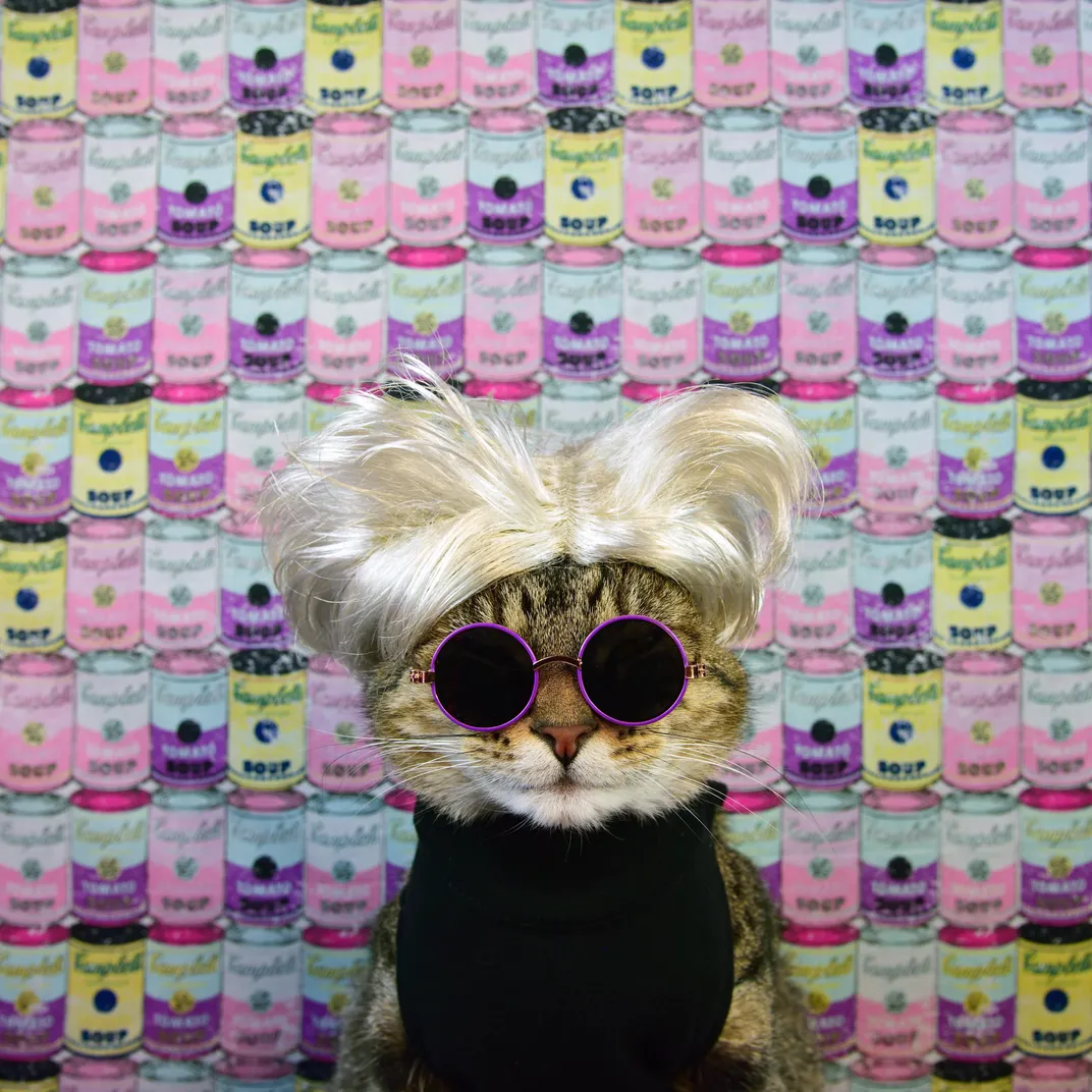 Andy Warhol cat