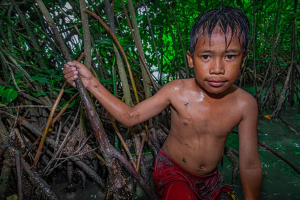 Playing in the mangrove forest thumbnail