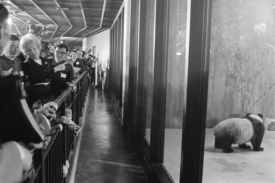 First lady Patricia Nixon attends the official welcome ceremony for giant pandas Ling-Ling and Hsing-Hsing on April 20, 1972.