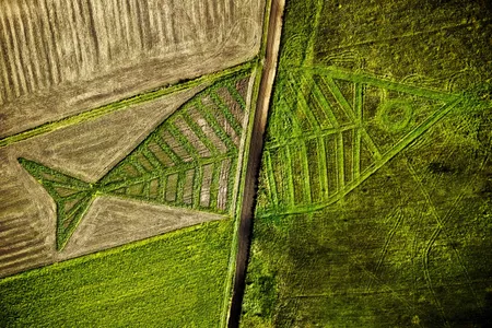 Artist Jaroslaw Koziara grew different types of plants to create a fish "crop circle" between the Polish and Ukrainian border.