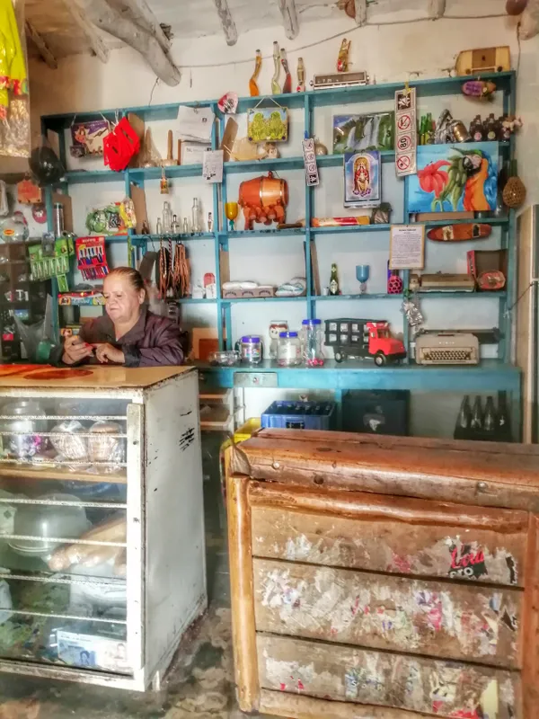 The lady from the shop thumbnail