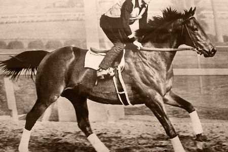 Seabiscuit
