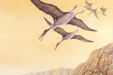 An artist&rsquo;s illustration of Quetzalcoatlus flying